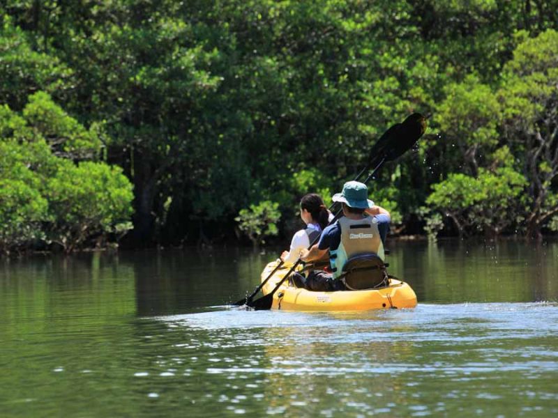 Đi thuyền Kayak vòng quanh hồ